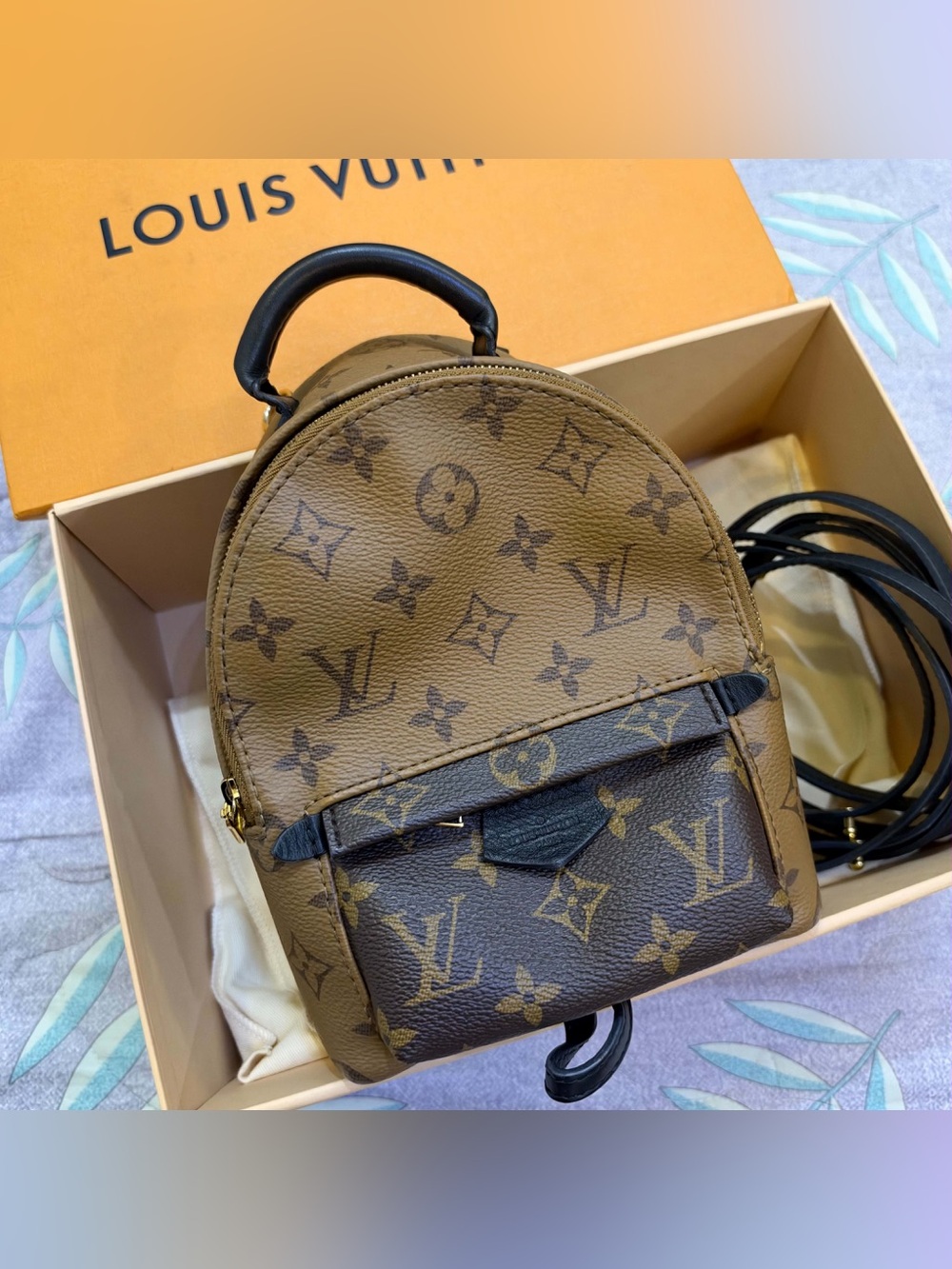 Louis Vuitton Palm Springs Backpack Mini Brown Canvas